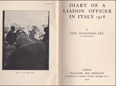 Diary of a Liaison Officer in Italy 1918 # 21738
