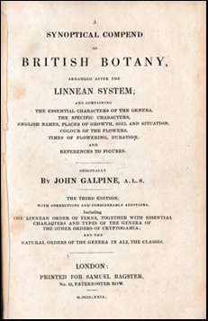 A Synoptical Compend of British Botany # 42026