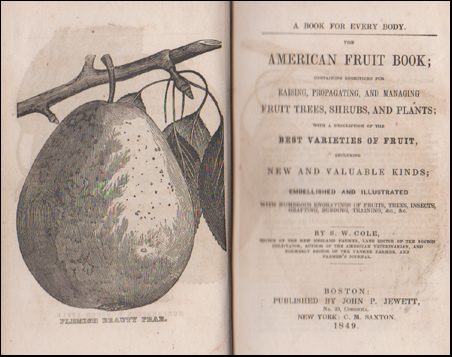 The American Fruit Book # 44984