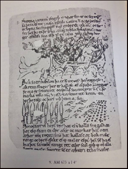 Early Icelandic script # 76578