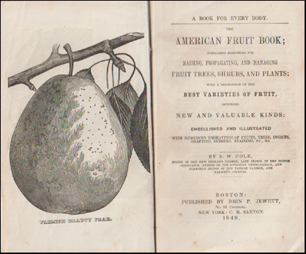 The American Fruit Book # 63178