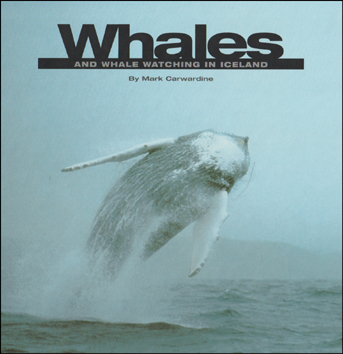 Whales and Whale Watching in Iceland # 64268