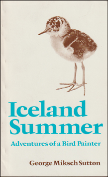 Iceland Summer. Adventures of a bird painter # 65015