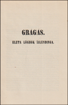 Grgs. Elzta lgbk slendinga # 81342