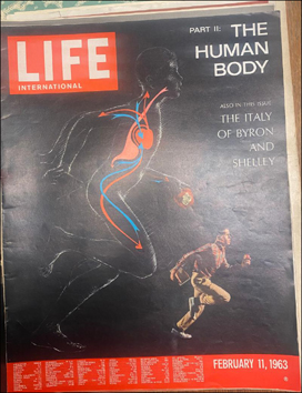 Life Magazine, February 11, 1963 - The Human Body # 81745