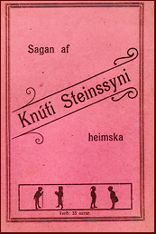 Knts saga Steinssonar heimska # 10267